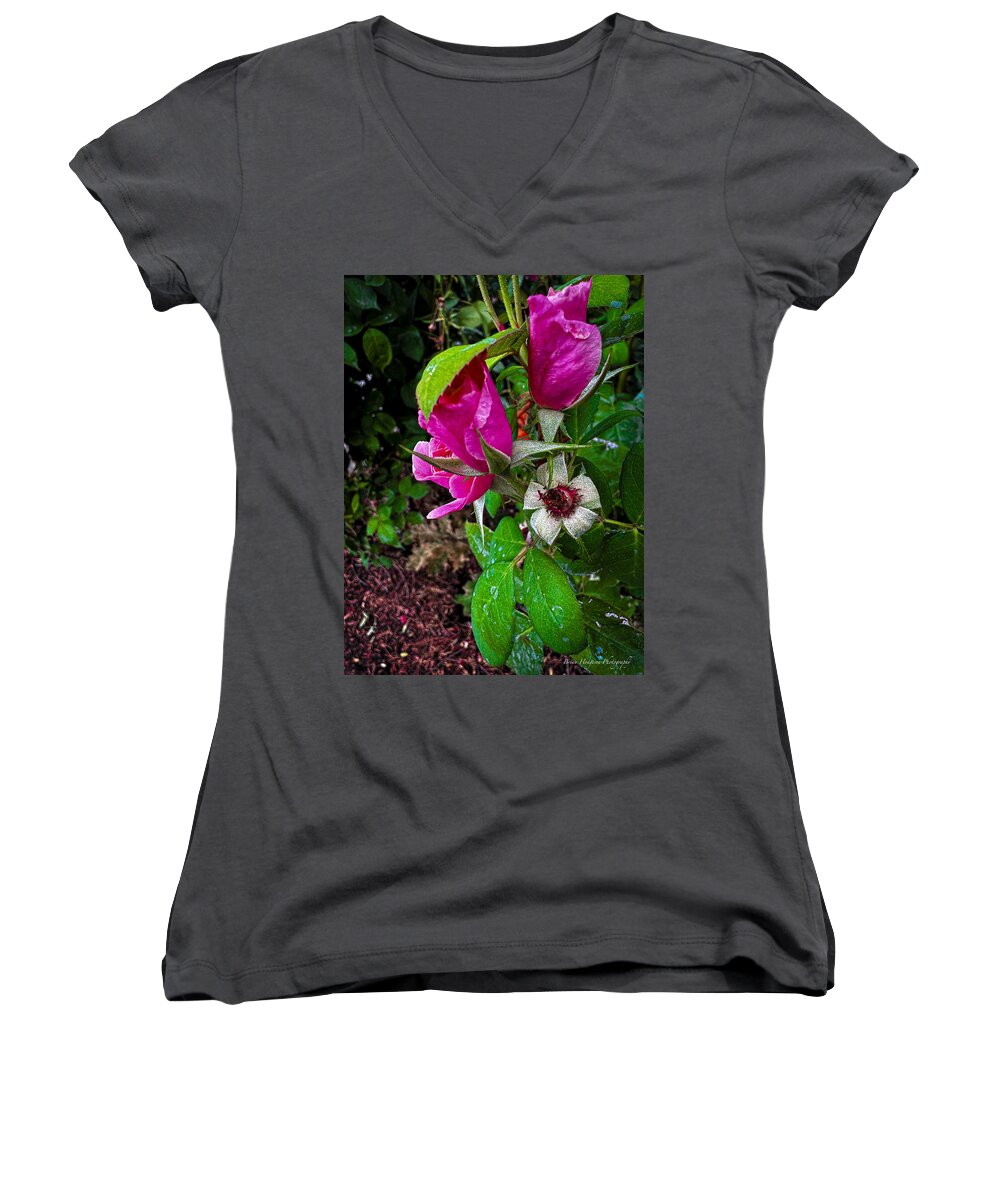 After the rain  - Women's V-Neck