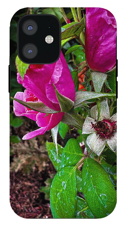 After the rain  - Phone Case
