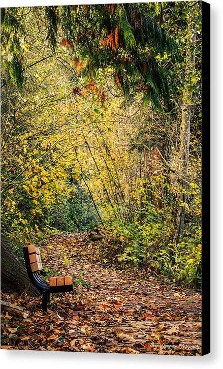 Autim  walk   - Canvas Print