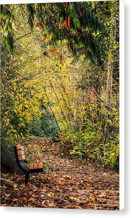 Autim  walk   - Canvas Print
