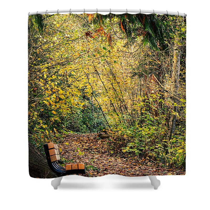 Autim  walk   - Shower Curtain