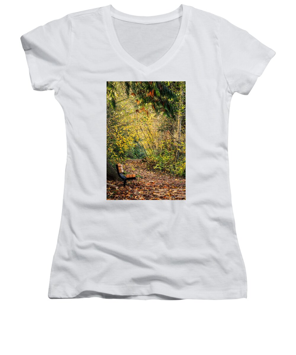 Autim  walk   - Women's V-Neck