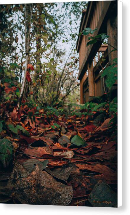 Autum leaves  - Canvas Print