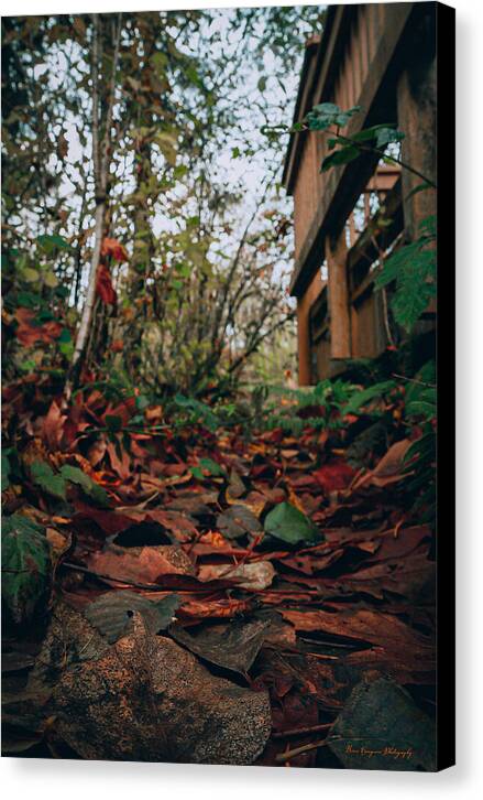 Autum leaves  - Canvas Print