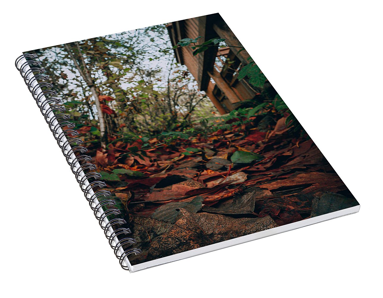 Autum leaves  - Spiral Notebook