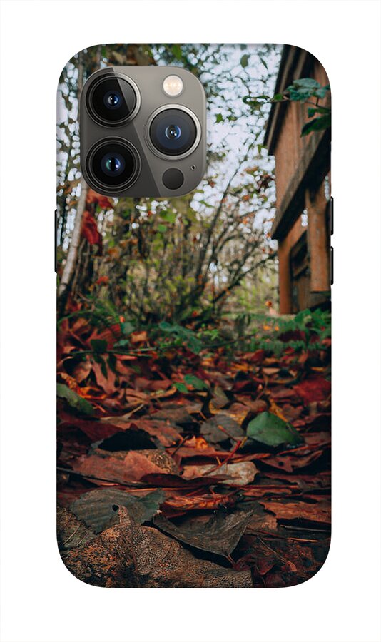 Autum leaves  - Phone Case