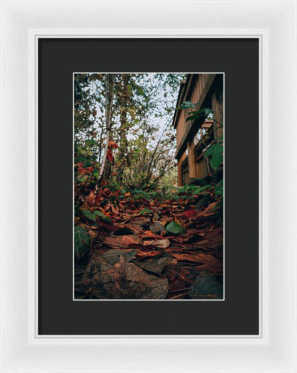 Autum leaves  - Framed Print