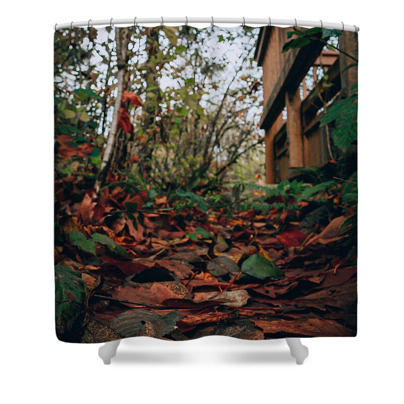 Autum leaves  - Shower Curtain