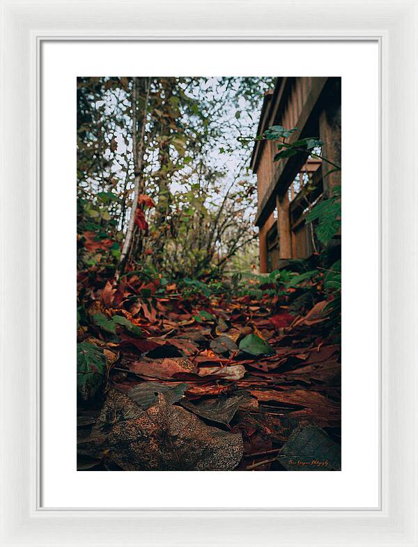 Autum leaves  - Framed Print