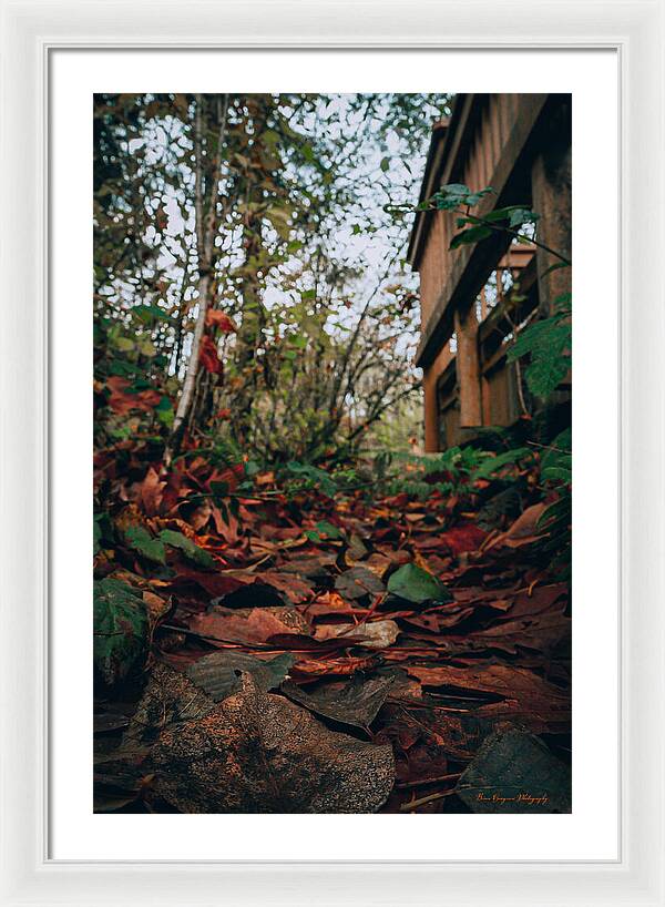 Autum leaves  - Framed Print
