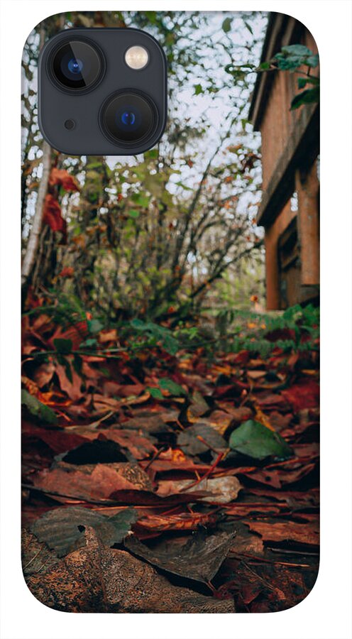 Autum leaves  - Phone Case