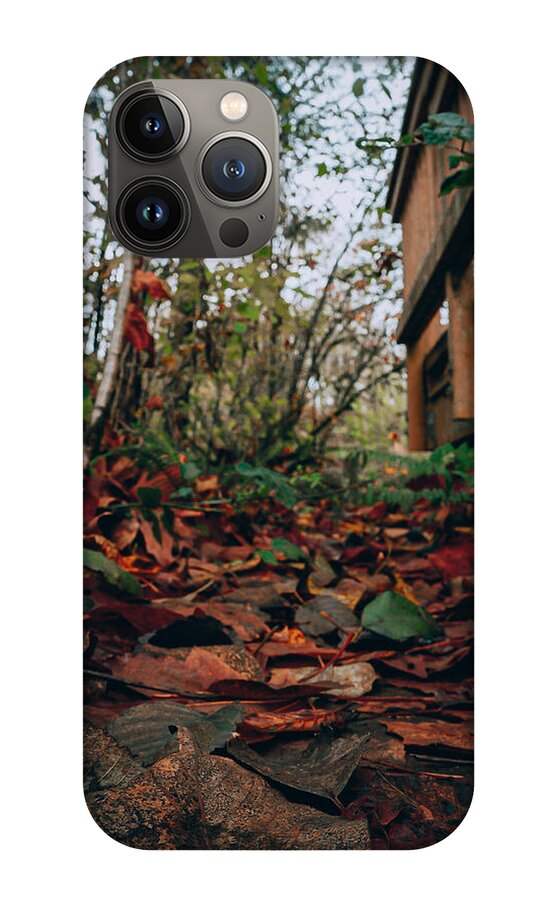 Autum leaves  - Phone Case