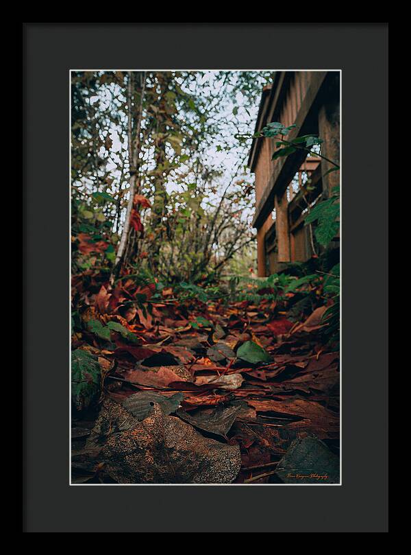 Autum leaves  - Framed Print