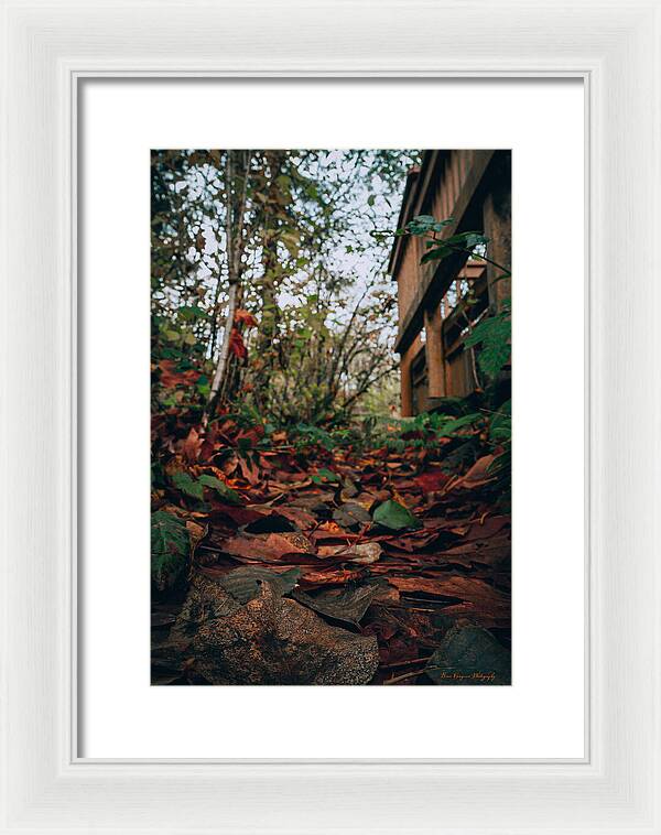 Autum leaves  - Framed Print