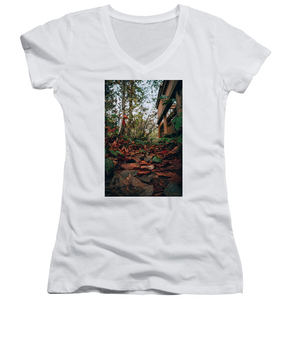 Autum leaves  - Women's V-Neck