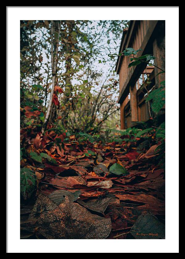 Autum leaves  - Framed Print