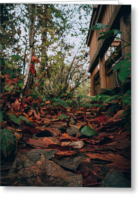 Autum leaves  - Greeting Card