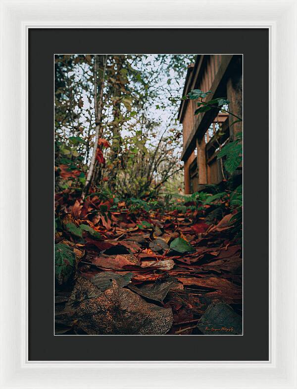 Autum leaves  - Framed Print