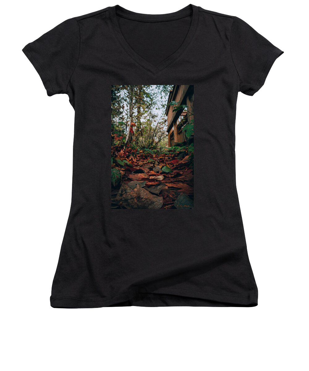 Autum leaves  - Women's V-Neck