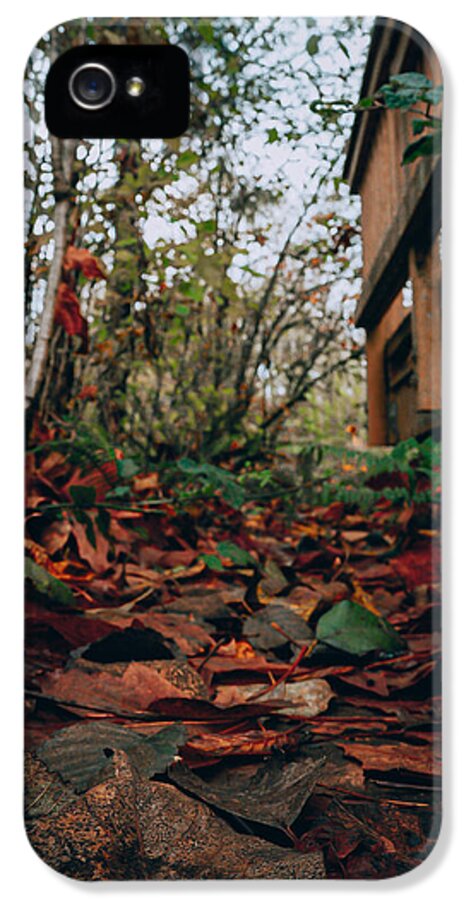 Autum leaves  - Phone Case