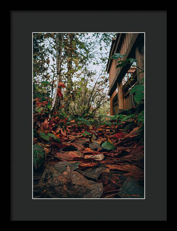 Autum leaves  - Framed Print