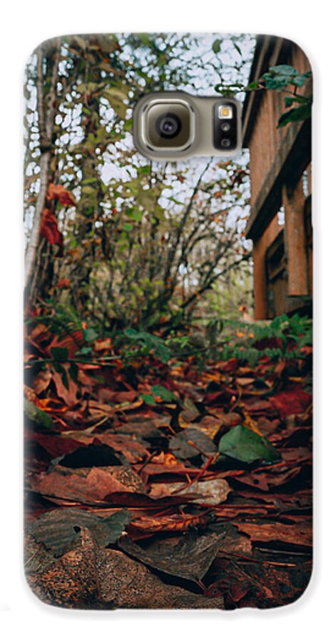 Autum leaves  - Phone Case
