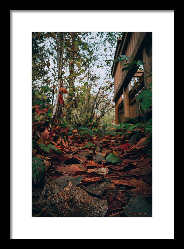 Autum leaves  - Framed Print