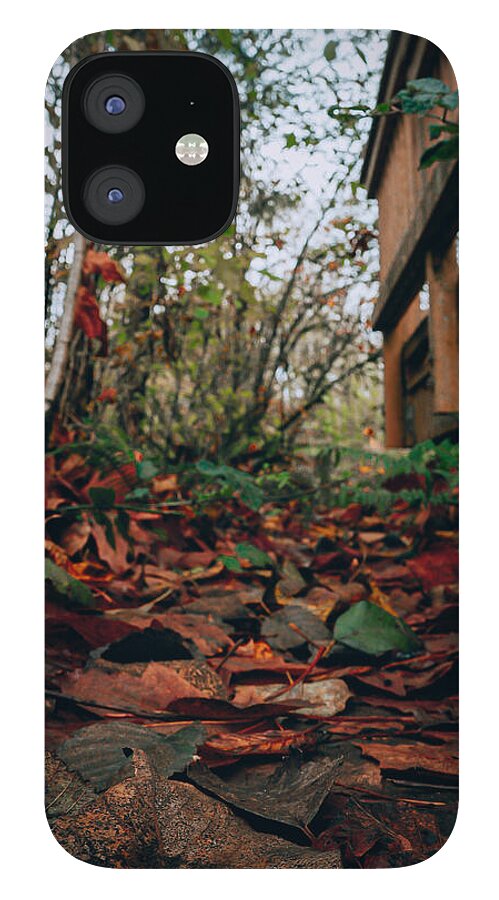Autum leaves  - Phone Case