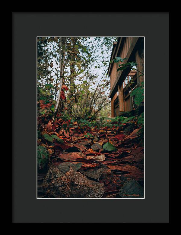 Autum leaves  - Framed Print