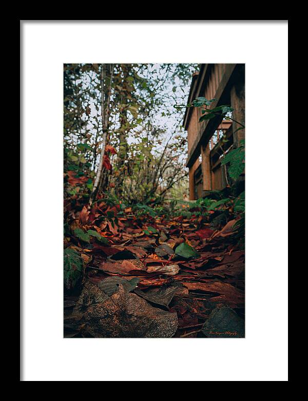 Autum leaves  - Framed Print