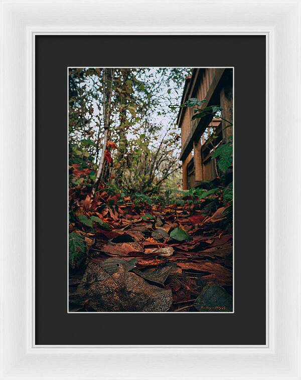 Autum leaves  - Framed Print