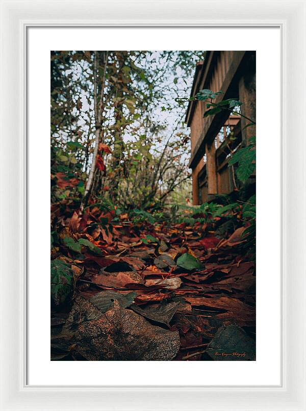 Autum leaves  - Framed Print
