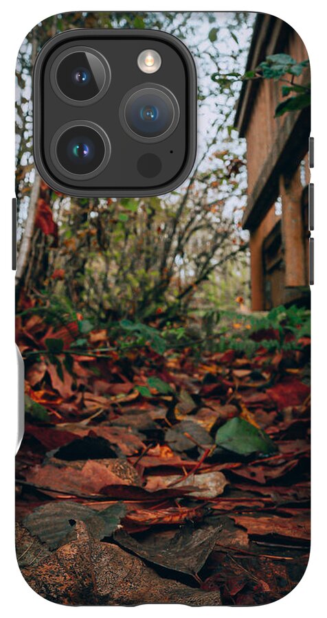 Autum leaves  - Phone Case