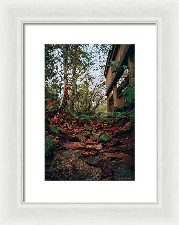Autum leaves  - Framed Print