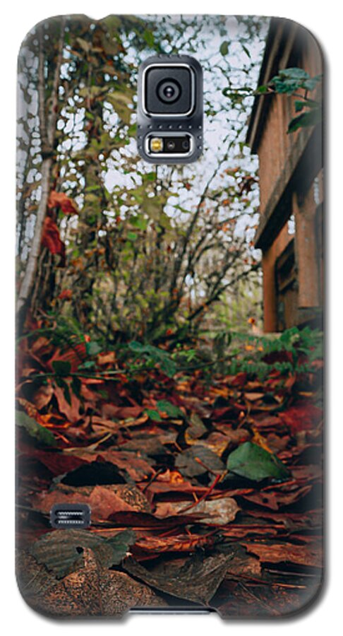 Autum leaves  - Phone Case