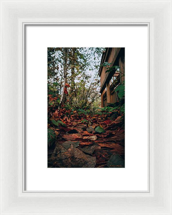 Autum leaves  - Framed Print