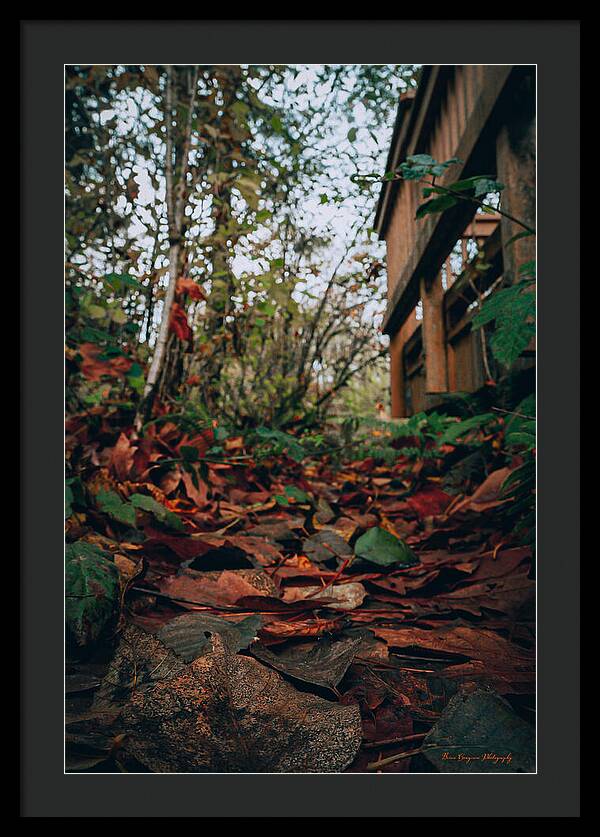 Autum leaves  - Framed Print