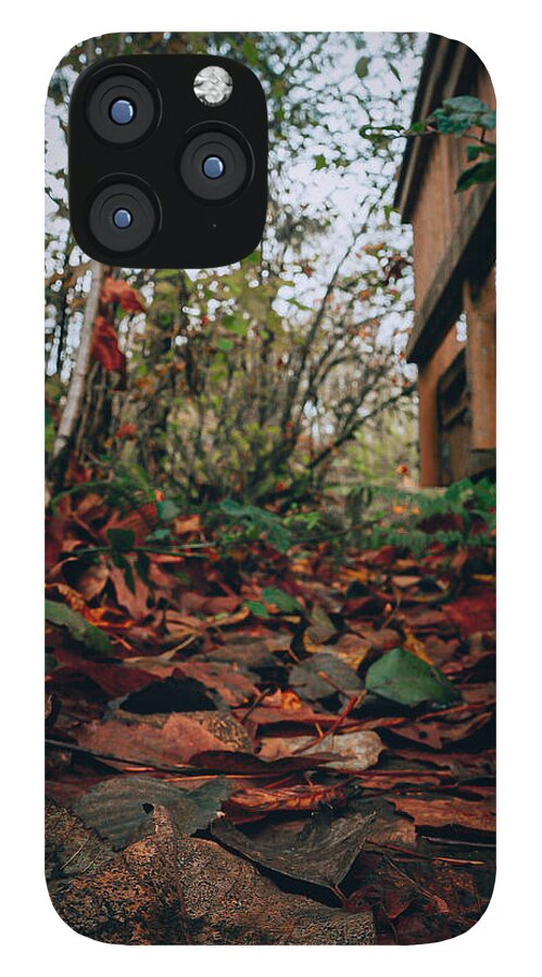 Autum leaves  - Phone Case