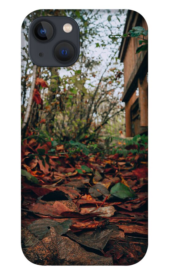 Autum leaves  - Phone Case