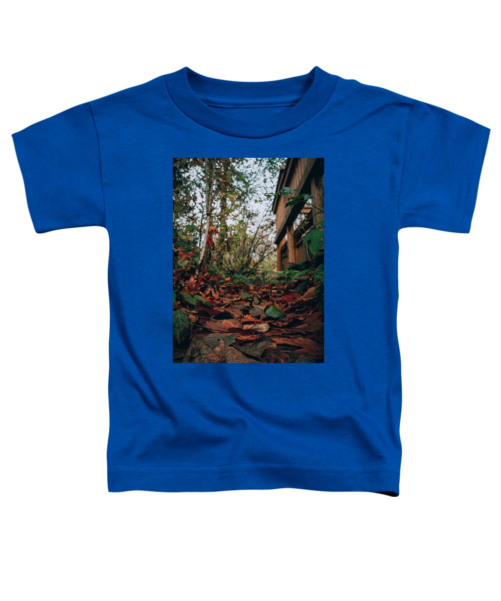Autum leaves  - Toddler T-Shirt