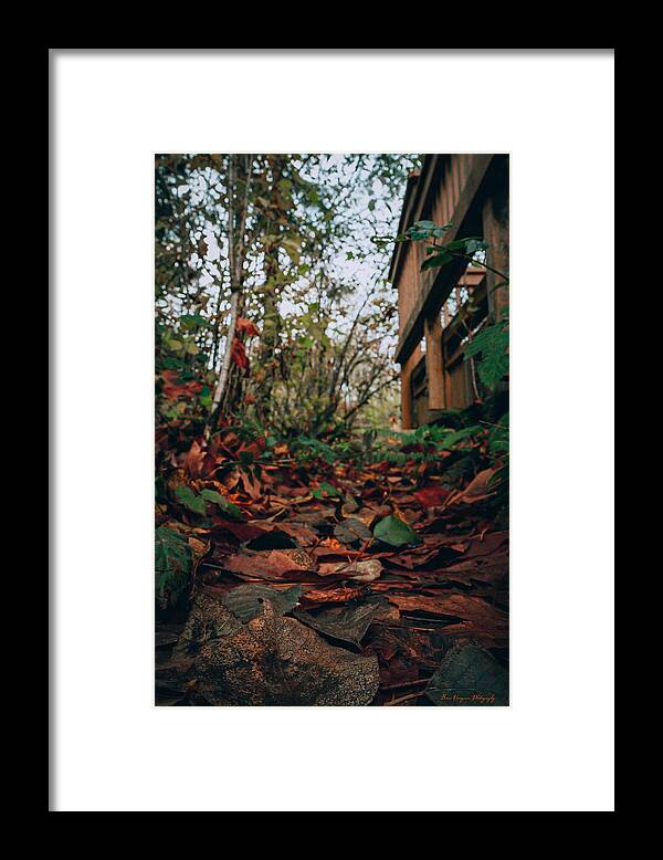 Autum leaves  - Framed Print
