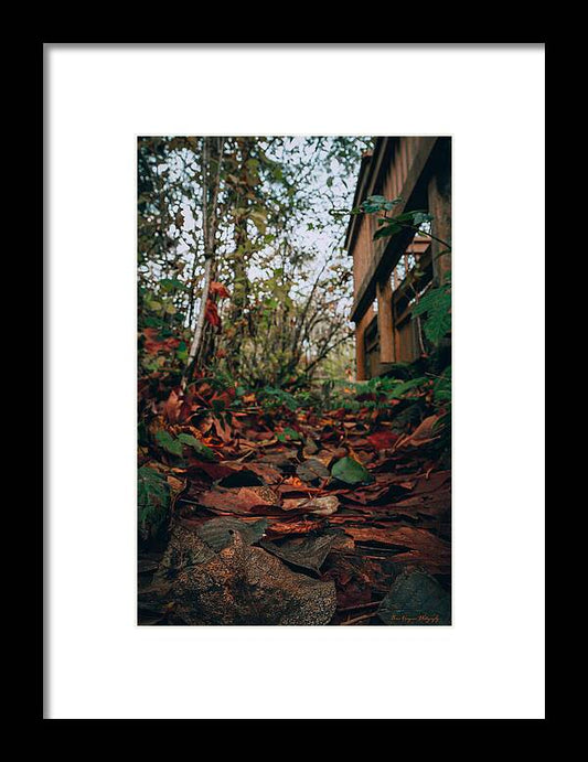 Autum leaves  - Framed Print