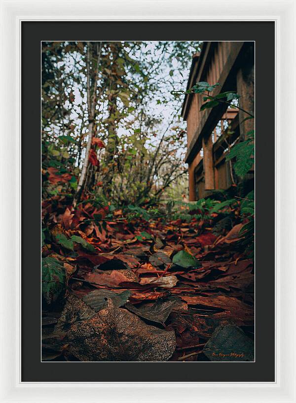 Autum leaves  - Framed Print