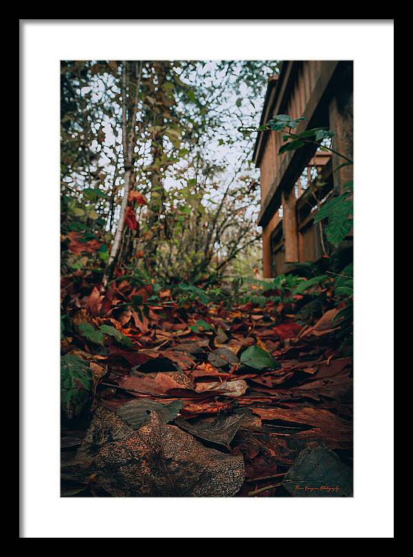 Autum leaves  - Framed Print