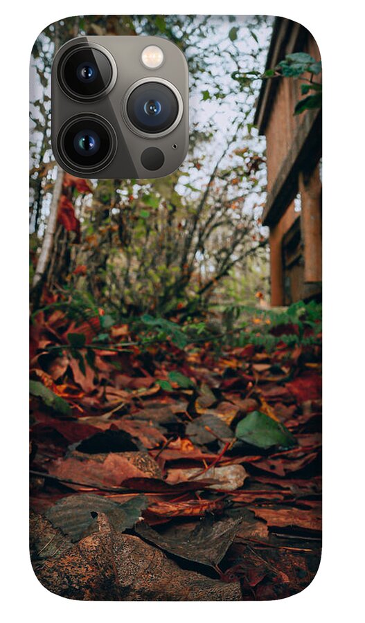 Autum leaves  - Phone Case