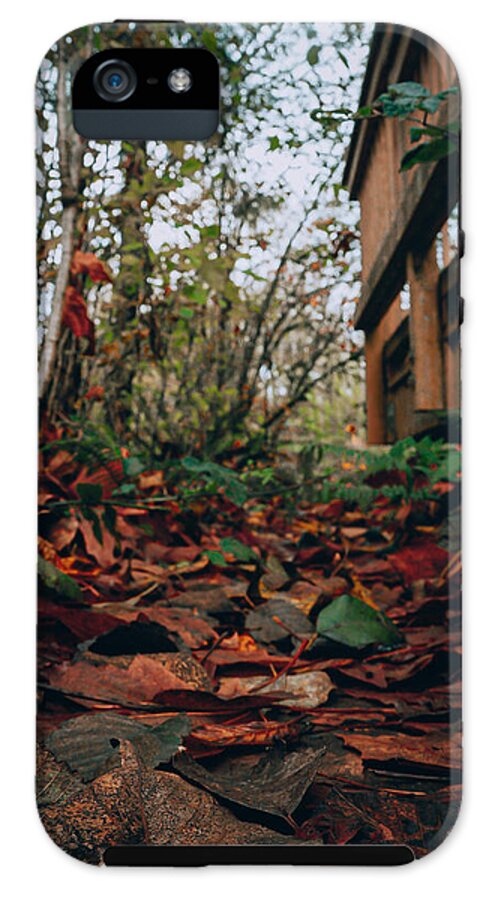 Autum leaves  - Phone Case