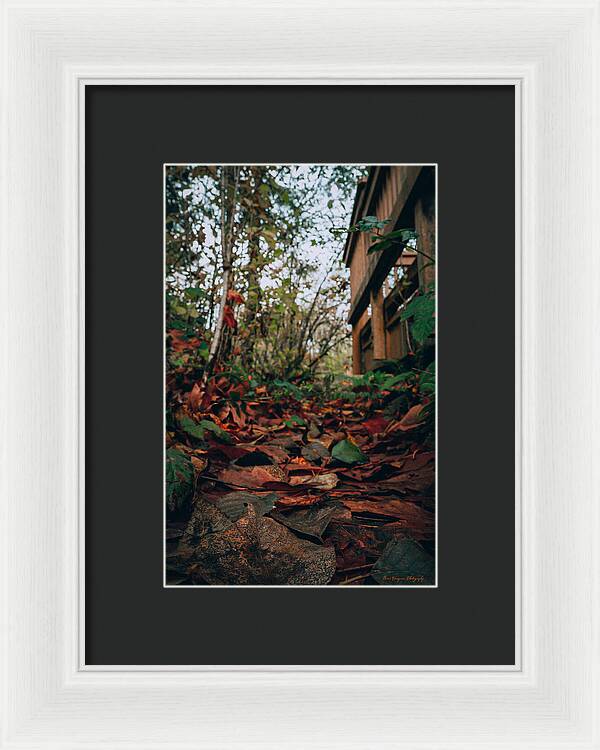 Autum leaves  - Framed Print