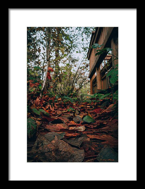 Autum leaves  - Framed Print