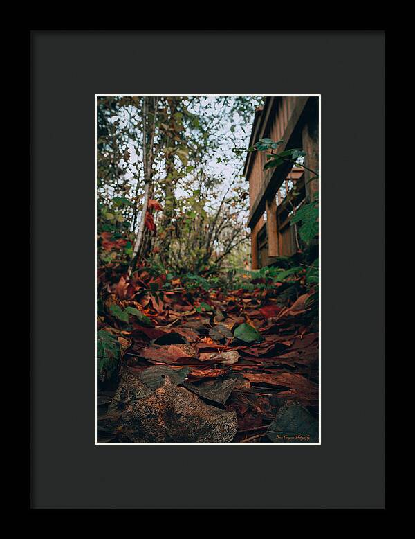 Autum leaves  - Framed Print