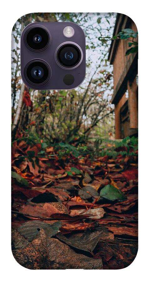 Autum leaves  - Phone Case